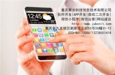 重慶軟件開發(fā) 從山地之城的數(shù)字崛起到智能未來