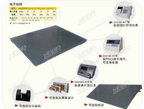 上海通訊設(shè)備領(lǐng)域的革新 量程精度可選的便攜式電子地磅